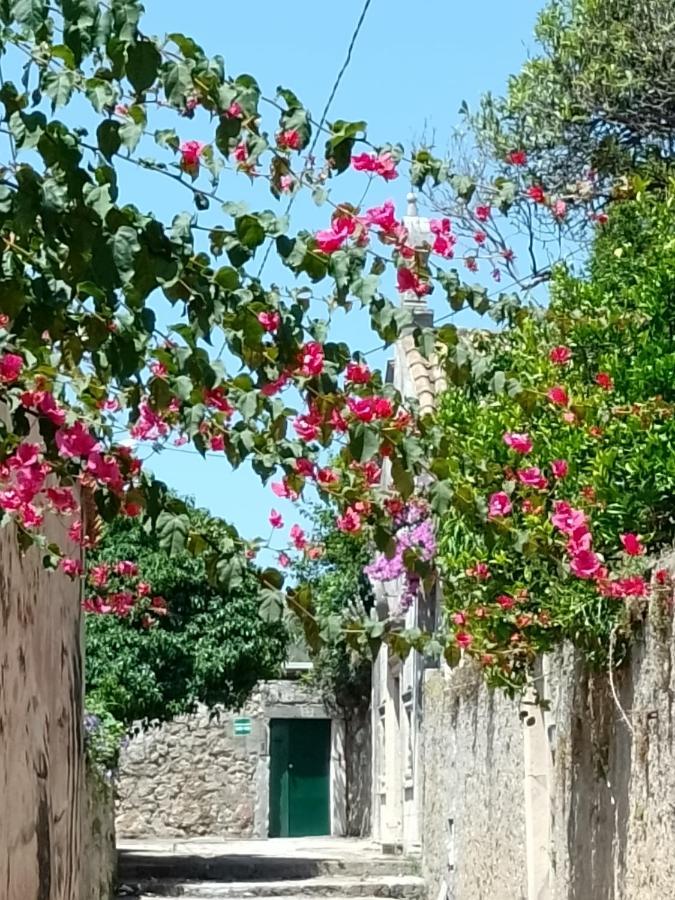 Seaview Dubrovnik Old Town Daire Dış mekan fotoğraf